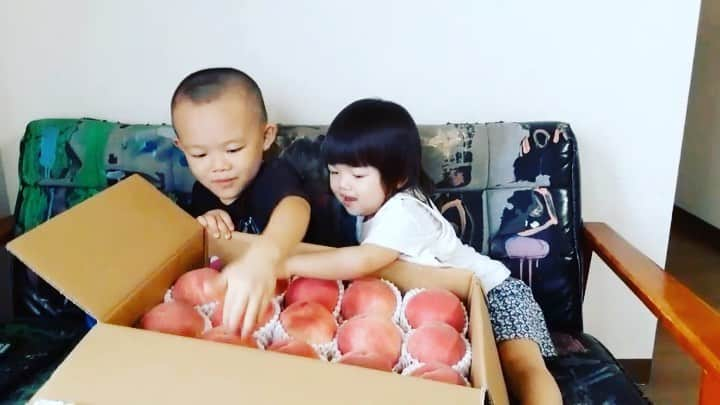 西浦聡生のインスタグラム：「プリ🍑プリ🍑プリ🍑プリ🍑プリ🍑  #笠井桃園 #kasaipeachfarm #wickyfamily #🍑」