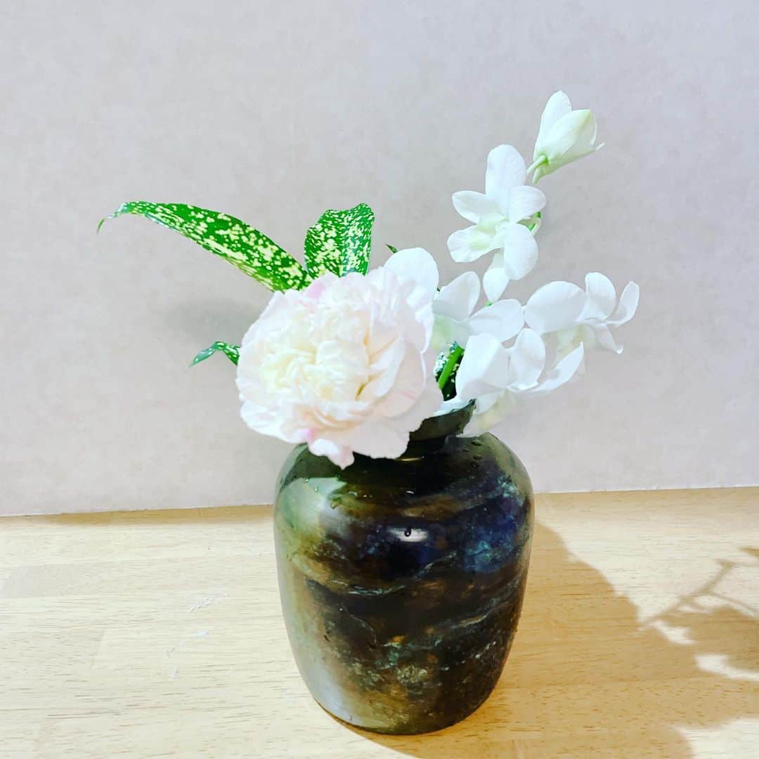 菊池桃子さんのインスタグラム写真 - (菊池桃子Instagram)「*  今週の小さな花束。💐 淡い、やさしい色合いです。  #小さな花瓶に #今週のお花 #週一の楽しみ  お花の種類を“追記” #カーネーション #デンファレ #ドラセナ」8月19日 17時07分 - momoko_kikuchi_official