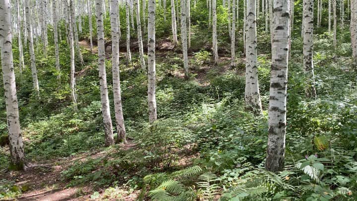 のインスタグラム：「조금 깨져도.. 🌿」