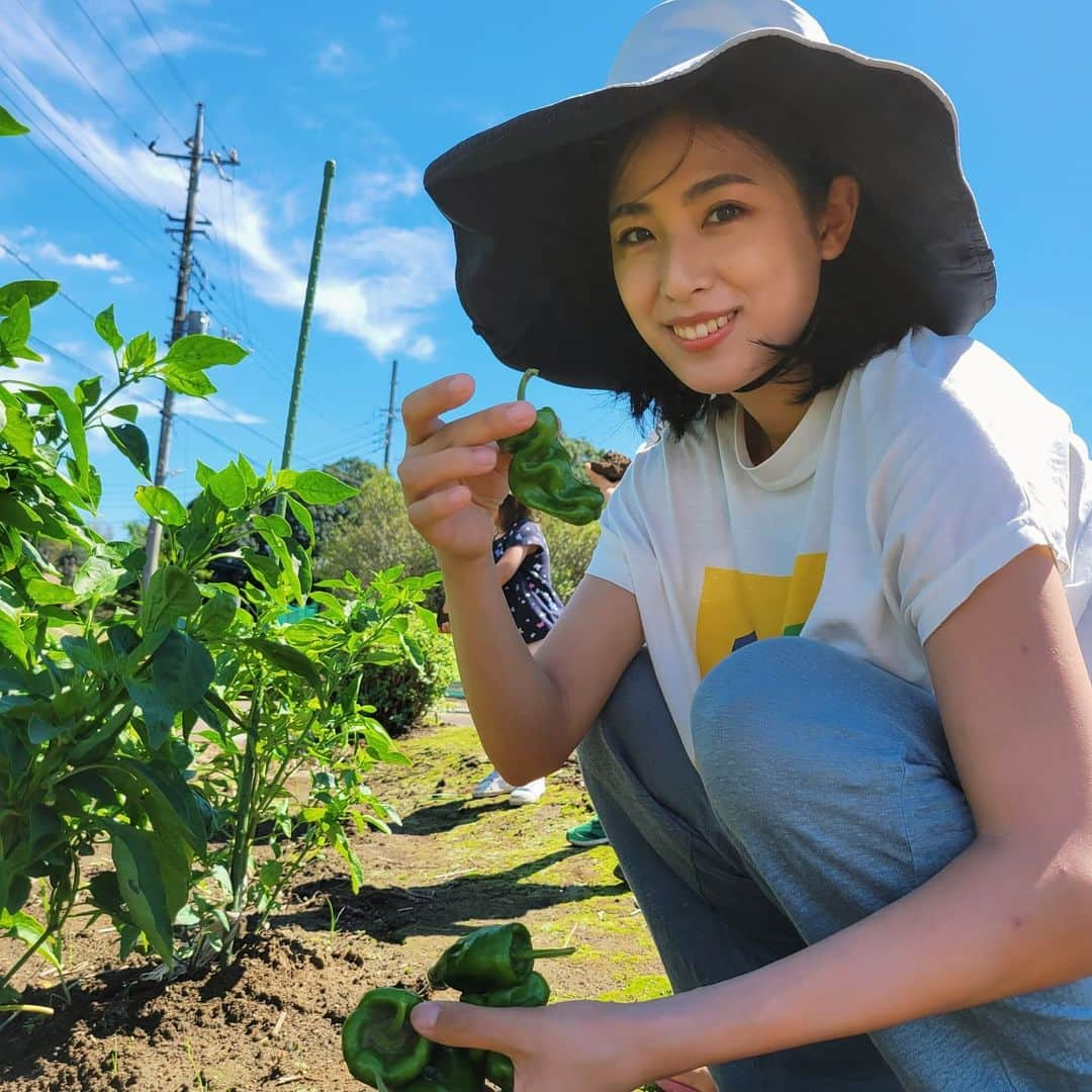 本仮屋リイナさんのインスタグラム写真 - (本仮屋リイナInstagram)「スイカ収穫～🍉🍉 母の畑のスイカ、甘いといいなぁ😋 大きく育ったのがごろごろ✨✨ 雨が続いたからか、熟すまでもう少しかかりそうなものも🐌 冷やすぞ～🍉🎐🍧  #スイカどっしリイナ #ピーマンも採リイナ #家庭菜園 #無農薬 #夏 #スイカ #ピーマン #収穫  #畑 #土 #サステナブル #麻 #オーガニックコットン #sdgs #instagood #instadaily #ecofriendly」8月19日 11時37分 - riina_motokariya