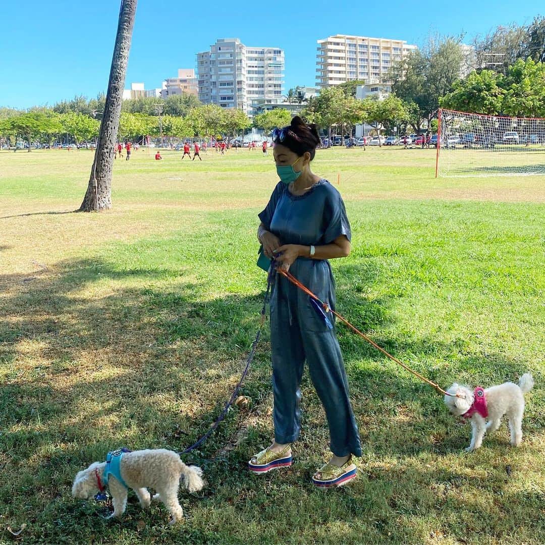 マキ・コニクソンさんのインスタグラム写真 - (マキ・コニクソンInstagram)「Walking the doggies 🐾🐾at Kapiolani Park!! 子供達が小さな頃は サッカーの練習でここに良く来てたなぁ。 懐かしい。⚽️  今日もハワイは晴天なぁり！☀️ 暑いっ💦 でも心地よい暑さ！  #カピオラニ公園 #ワンズのお散歩 #思い出の場所 #ハワイは夏真っ盛り☀️」8月19日 12時47分 - makikonikson