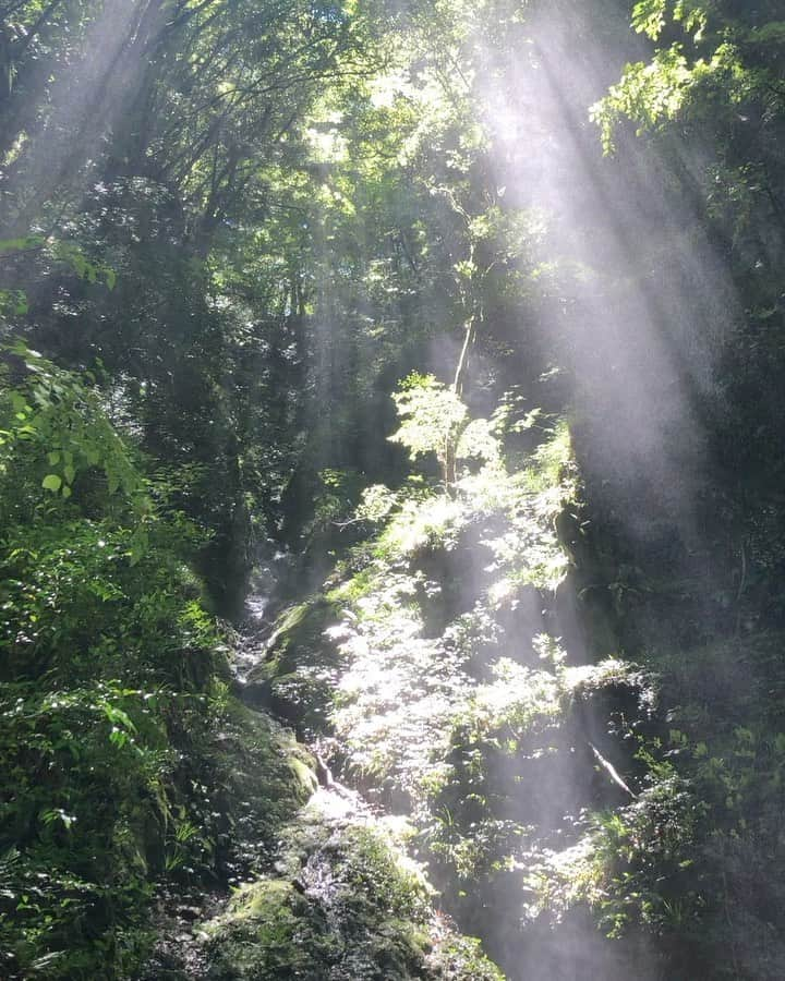 おすずのインスタグラム：「豊かさに日々感謝🌿🍃🌿」