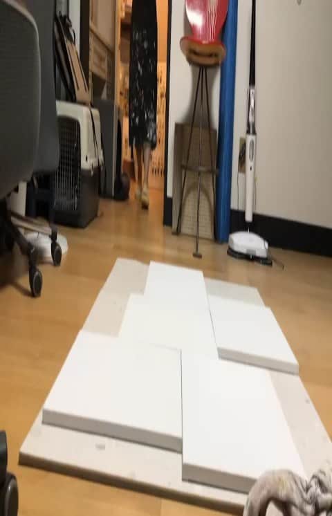 シム・ウンジンのインスタグラム：「오랜만에 날샘모드로 작업. 정말 하얗게 불태웠다.😆😆 그나저나  이것은 오랜친구의 생일선물!  예전에 수다떨다 얘기했던게 생각나서  생일선물로 준비했단다!!^^   거의 아침까지 잠도 안자고 음료수 떠다주고  간식챙겨준 앙꿍이에게도 박수를!😍😍 언니가 뭐하는지 계속 옆에서 관찰하던 초이도  너무 귀엽고 사랑스러웠음😍😍」