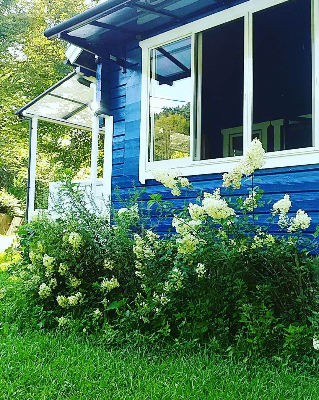 結城アンナさんのインスタグラム写真 - (結城アンナInstagram)「🌪全てのドア🚪と窓🪟を全開に🌬空気の入れ替え💨Opening all the windows & doors 🌪to let fresh air in💨☆☆☆♡☆☆☆💨★☆☆☆♡ #別荘 #summerhouse #自分をいたわる暮らしごと #北欧が教えてくれたシンプルな幸せの見つけ方」8月20日 11時43分 - ayukihouse