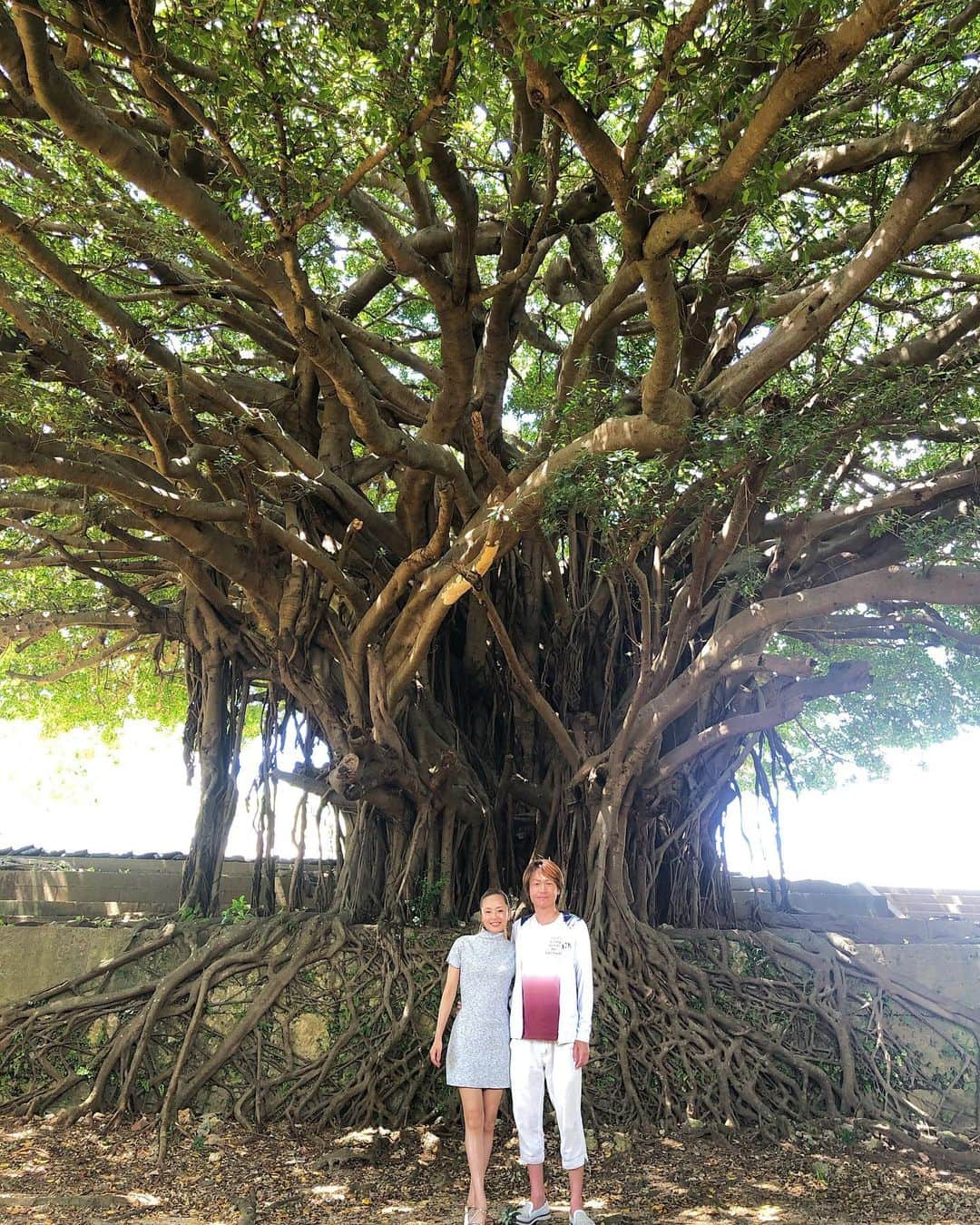 城咲仁さんのインスタグラム写真 - (城咲仁Instagram)「皆様と世界に平和が訪れますように 夏休みがダメになった子供達😂 修学旅行がダメになった学生達にも笑顔が訪れますように🙇‍♂️ せめてものお裾分けです 神様早く平和をください #がじゅまる  #カジュマルの木  #精霊 #キジムナー #powerpoint  #peace #願い #平和 #未来 #子供 #宝 #夢 #城咲仁  #加島ちかえ 間も無くYouTubeチャンネルアップします」8月20日 16時11分 - shirosaki_jin_official