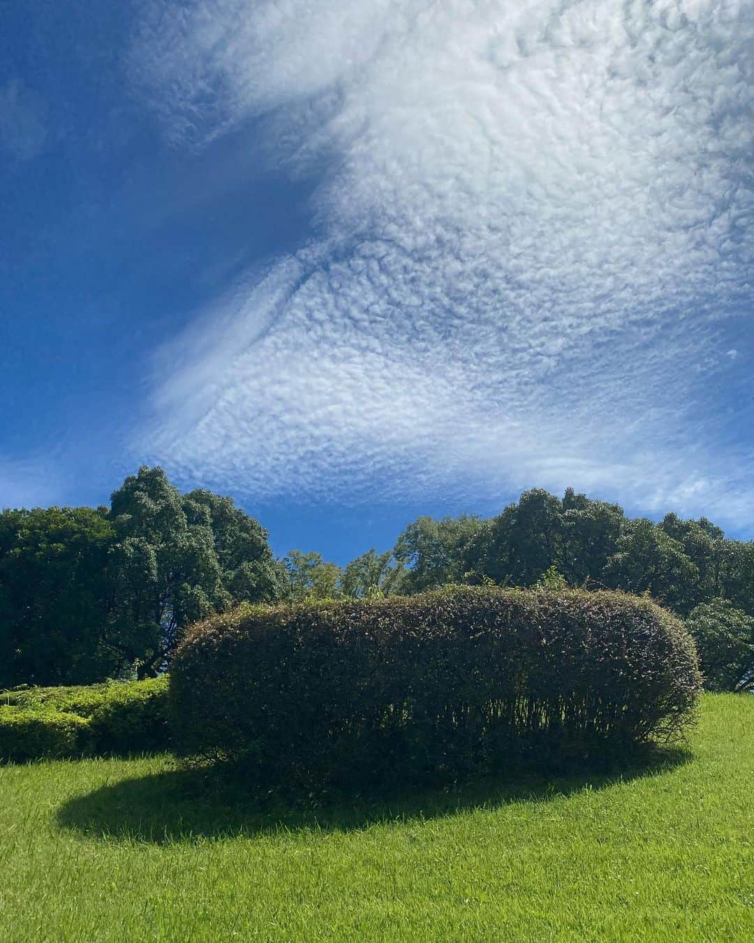 鈴木保奈美さんのインスタグラム写真 - (鈴木保奈美Instagram)「うろこ雲？なのかな？ イワシのマリネ食べたい…お寿司でもいい…」8月20日 16時43分 - honamisuzukiofficial