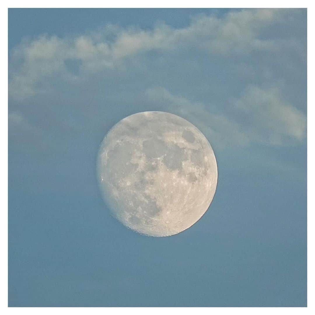 さだまさしさんのインスタグラム写真 - (さだまさしInstagram)「満月まもな〜🌔 今は土星と木星が見頃らしいんだけど、、、 . #月 #さだまさし #sadamasashi #土星 #木星」8月20日 19時02分 - sada_masashi