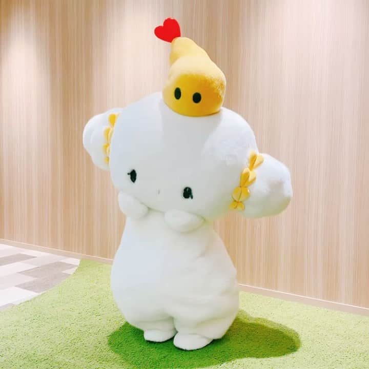 こぎみゅん（サンリオ）のインスタグラム：「ダンスのれんしゅう･･がんばるみゅん･･！  #こぎみゅん #cogimyun #サンリオ #tiktok #ダンス #dance #tiktokers #ピューロランド #ダンス動画 #小麦粉 #sanrio #儚い #エビちゃん」
