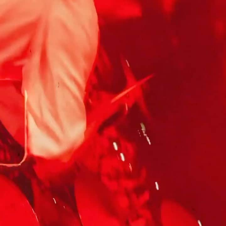 トリスタン・エヴァンズのインスタグラム：「Our band’s better than yours!」