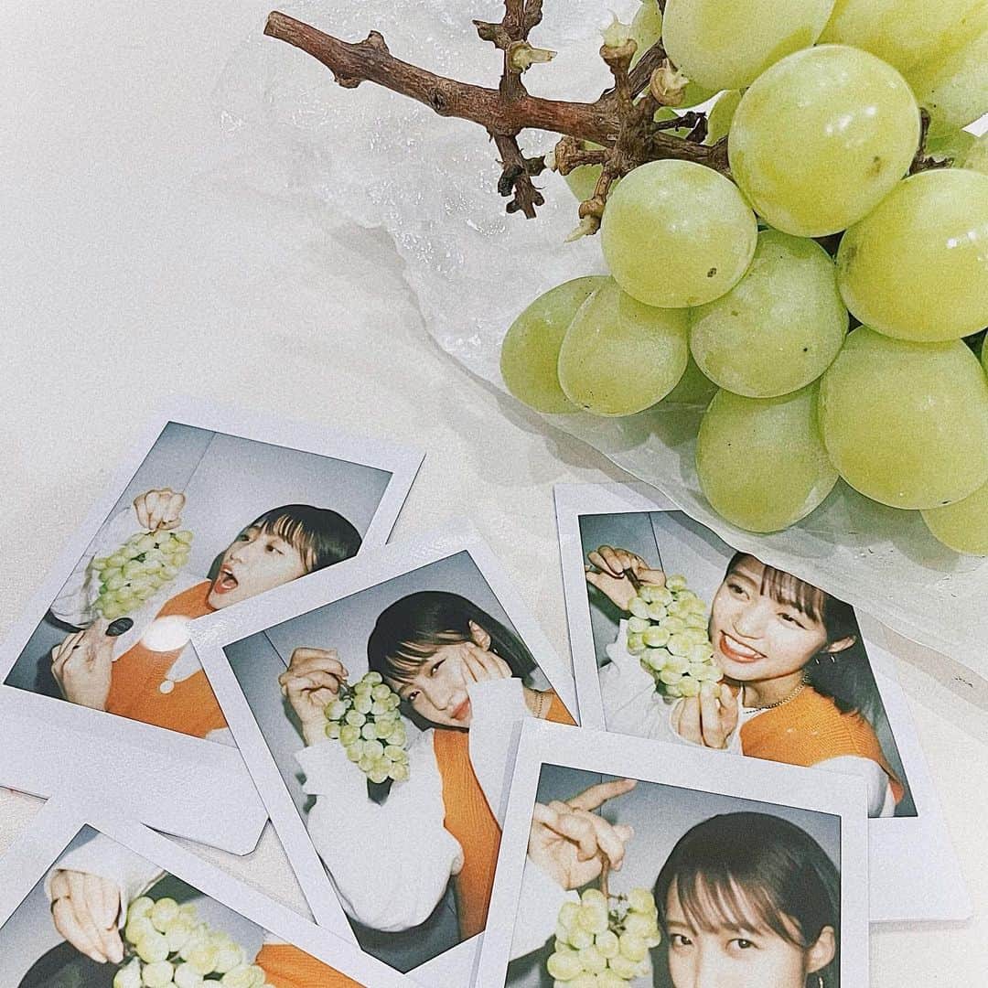 のインスタグラム：「. いっぱいチェキ撮ったよみんなのところに届くまでしょしょおまちお〜 ライブまであと1週間！！！！  そして毎年、岡山の市場の方が送ってくれるのだけども、本当においしい、心から感謝🥺💞 ありがとうございます。今年もおいしいです😳 秋だなぁ〜もう少しでりんごだなぁ〜  #岡山 #シャインマスカット #農業活性化アイドル #第一次産業 #チェキ #フルーツ大好き」