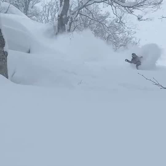 のインスタグラム：「. Sound on🔊 ブッシュ当て込み作戦🥷🏼 新潟✖️寒波😏🤘🏼」