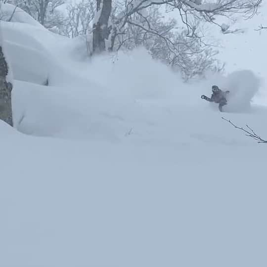 佐藤亜耶のインスタグラム：「. Sound on🔊 ブッシュ当て込み作戦🥷🏼 新潟✖️寒波😏🤘🏼」