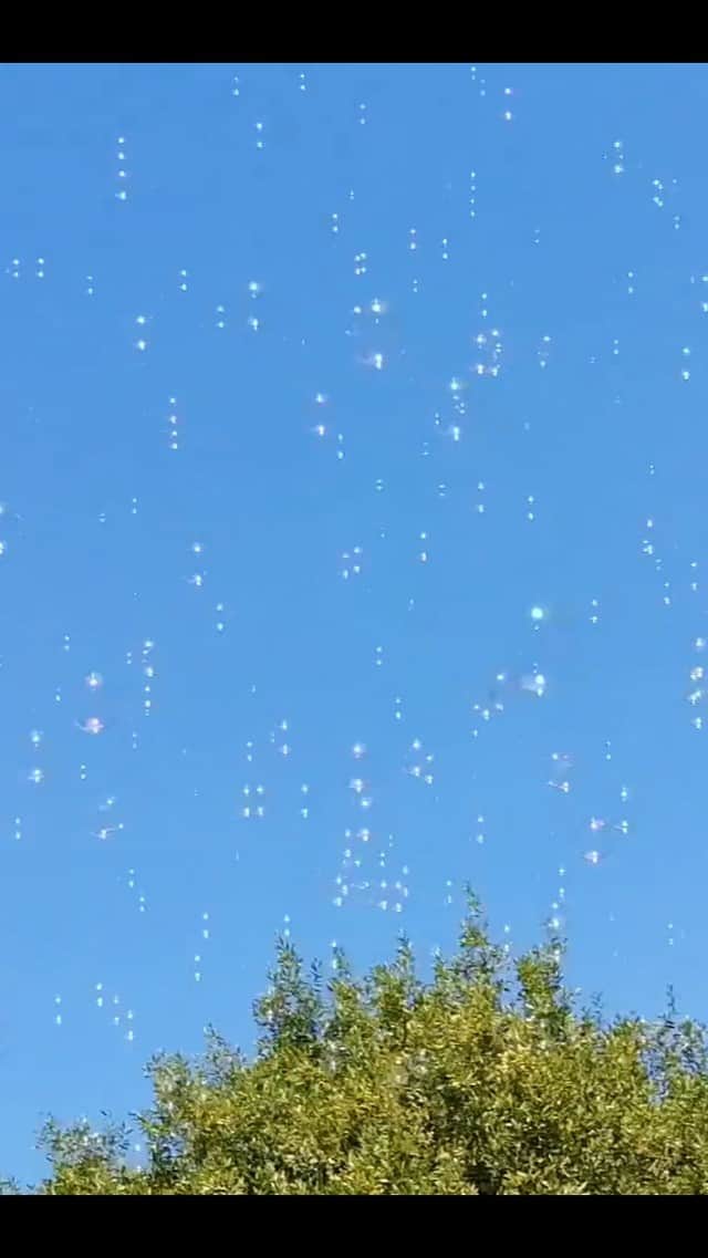 福間洸太朗のインスタグラム