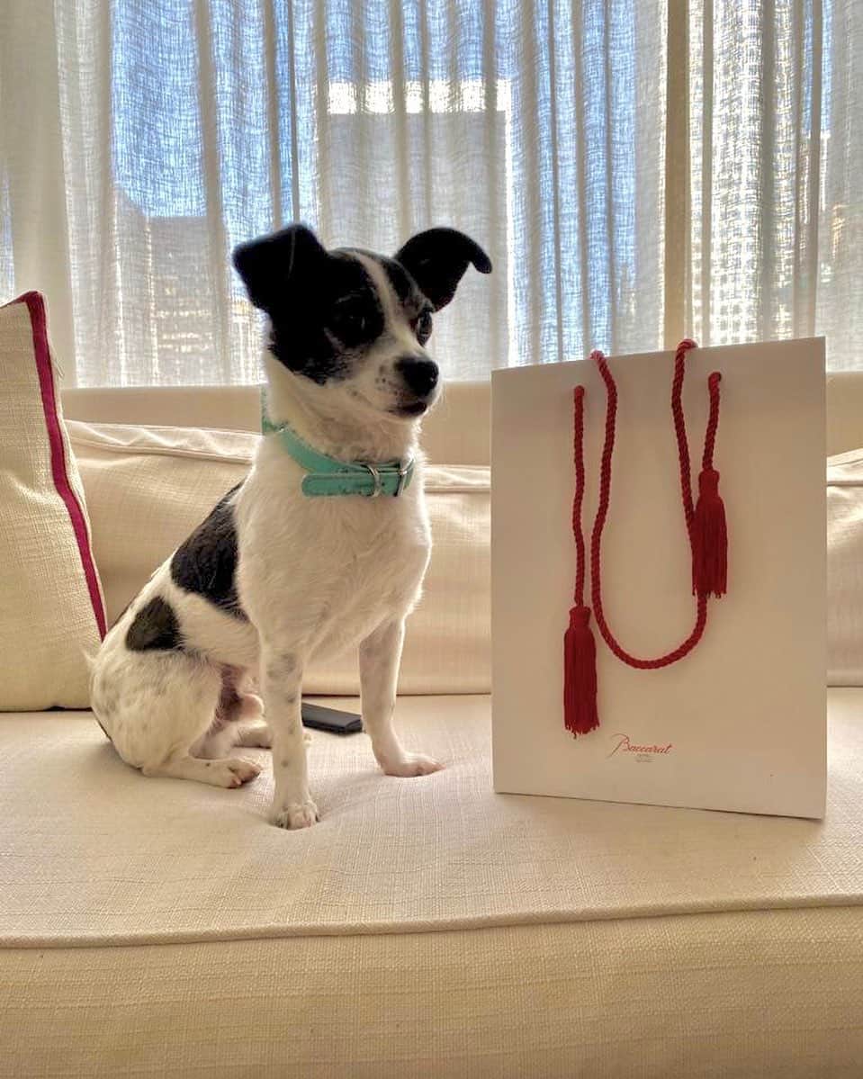 カーラ・デルヴィーニュのインスタグラム：「What’s it all about Alfie?」