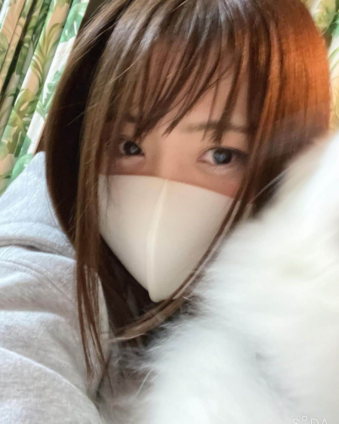 岩谷麻優さんのインスタグラム写真 - (岩谷麻優Instagram)「ポチとツーショット カメラ目線ちょーだい🐾❤️」9月16日 3時54分 - iwatanimayu