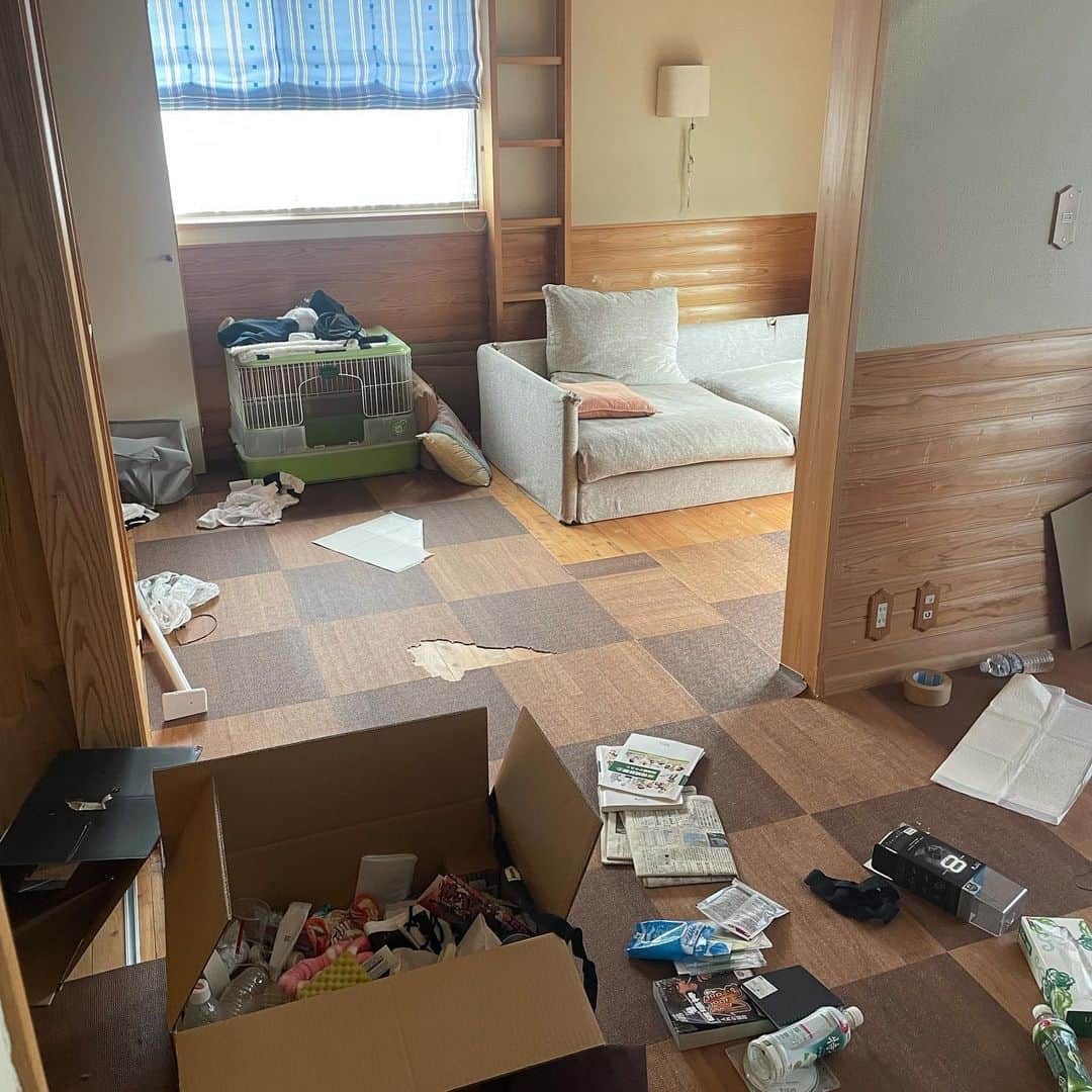 山越享太郎さんのインスタグラム写真 - (山越享太郎Instagram)「実家の僕の部屋を掃除して、赤ちゃん部屋へ  犬が1番楽しそう🐕」9月16日 7時45分 - shiba_ko.me