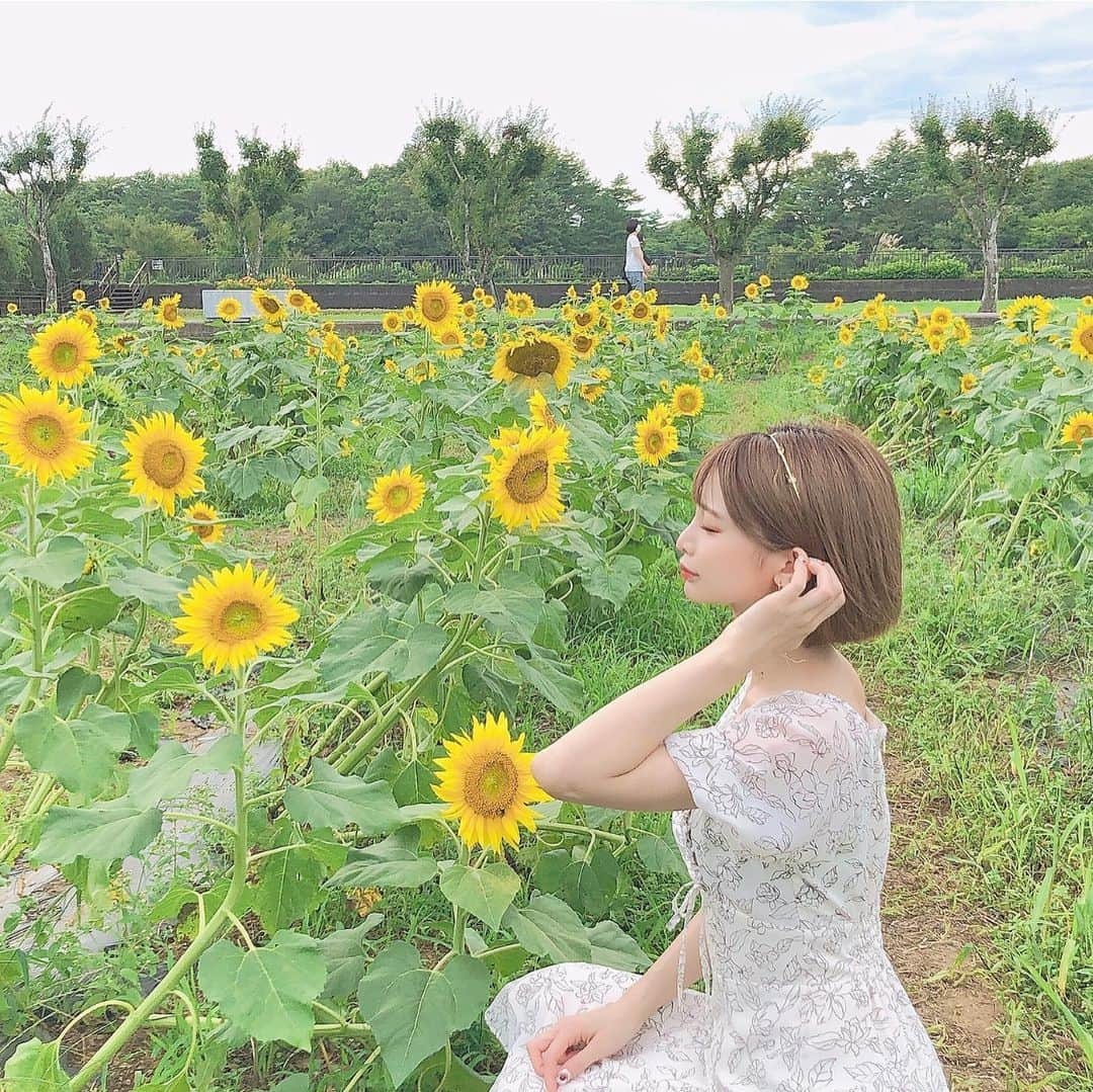 米倉みゆさんのインスタグラム写真 - (米倉みゆInstagram)「台風の影響でなぎ倒れすぎている🥲🥲🌻🌻笑 . . . . . 東京中央美容外科八王子院にいってきたよ～！ #tcb式小顔美肌再生 やりました🧖‍♀️🪄✨担当は美人先生の鎌田先生 @tcb_kamata  . 選んだ理由▼ コラーゲン生成を促して、長期間肌にハリ・ツヤ・明るさをもたらす！ ・シワを引き伸ばすため、陶器のような素肌になる！ . 普段から肌のこと気にしてる米倉なので、陶器肌は憧れ～🥺 腫れが引いた1ヶ月後が完成みたい！ すっごいたのしみ！ . 赤ちゃんみたいな肌になりたいなあ😇 . . @tcb_hachioji  . . . . .  #綺麗になりたい #笑顔 #ひまわり畑 #向日葵 #インスタ映えスポット #映えスポット#天然美人メーカー #きみっく先生 #リフトアップならtcb東京中央美容外科 #美容整形ならtcb東京中央美容外科 #東京中央美容外科 #東京中央美容外科八王子院 #美容外科 #八王子 #tcb #鎌田紀美子 #小顔美肌再生 #リフトアップ #美容マニア #美活#花の都公園 #美容外科 #美容クリニック #love #likeforlikes #girl #happy #japanesegirl #asiangirls」9月16日 9時09分 - yone__miyu630