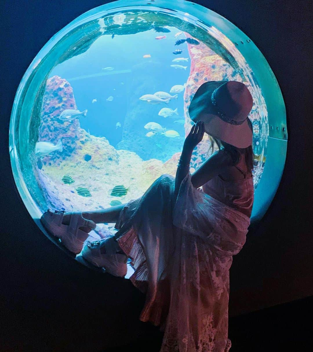 桜井莉菜さんのインスタグラム写真 - (桜井莉菜Instagram)「初のえのすい🐟 一緒に撮ってるのは、 あわたんというキャラ💓 癒し系☺️❤️ 水族館って久々に行ったけど、めちゃめちゃ癒された🐟 ちなみに私が1番好きなのは タカアシガニ🦀です😂 ママいわく、子供の頃からずっと、私は水族館に行くとタカアシガニの前に張り付いてたらしいw 昔から好きだったのね😂🦀  #えのすい#エノスイ#新江之島水族館#水族館」9月16日 11時17分 - rina__sakurai