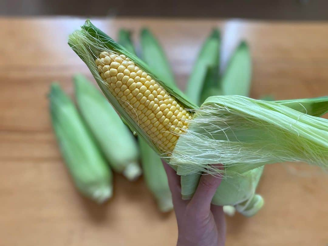 室岡里美さんのインスタグラム写真 - (室岡里美Instagram)「⁂  夏のご馳走。 由仁町からトウモロコシをお取り寄せ。 35本注文して、仲の良い先輩と分けました！ 甘さが口いっぱいに広がって感動！ 採れたてのとうもろこしが食べられる北海道は最高ですね。 ただ、もう夏も終わり… 季節の変わり目ですので、皆さんもご自愛下さい。  #HTB  #北海道　#由仁町　#札幌 #とうもろこし #とうきび #私の好きな食べ方 #とうきびと帆立と三つ葉かき揚げ #とうきびご飯 #とうきび春巻き #アナウンサー #室岡里美」9月16日 12時53分 - htb_satomimurooka