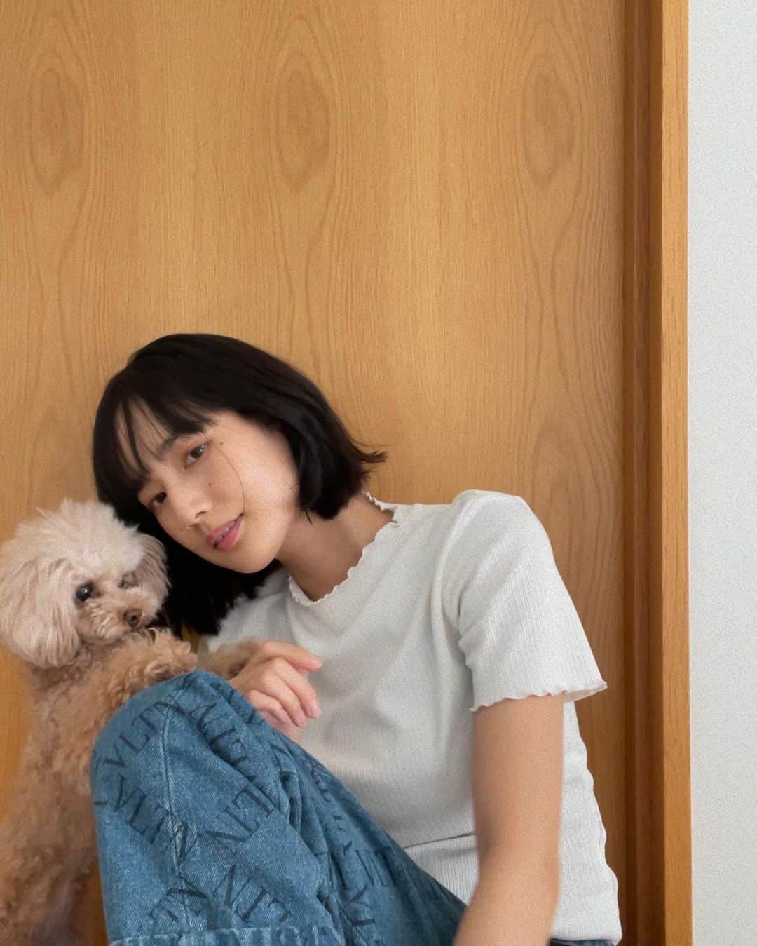 高嶋香帆のインスタグラム：「思い切って短くしました☺️💓  想像してたよりもしっくりきて驚いてます👏✨  モテ髪を作るのがお上手な関さんにお世話になりました！🥰 @cxcxrx_seki   #黒髪ショート」