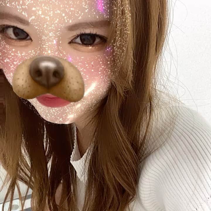 外薗葉月のインスタグラム：「ｽｷ?  #不機嫌犬」
