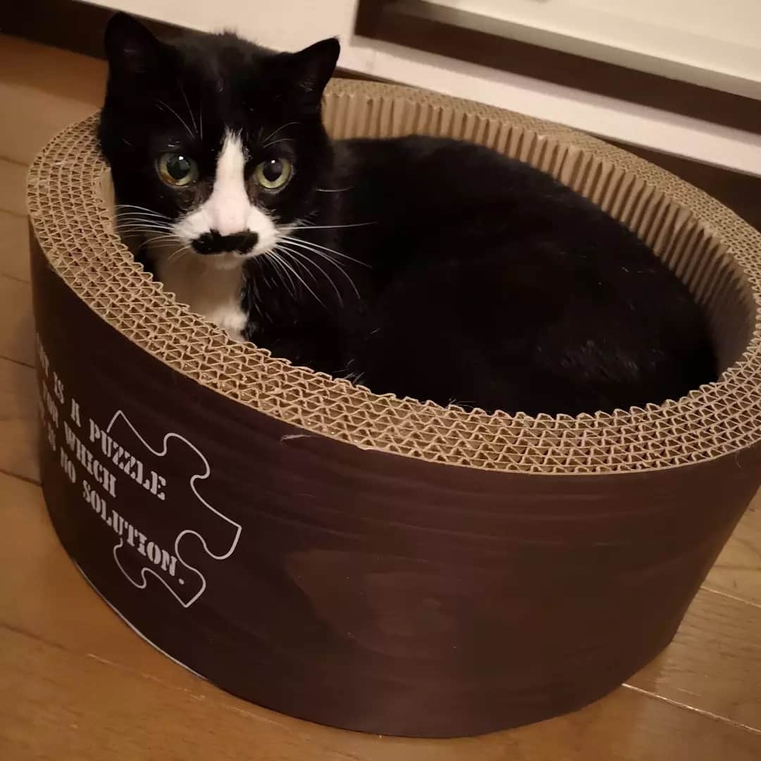 REIKAのインスタグラム