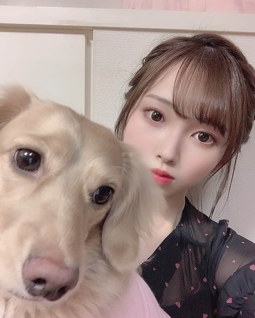 山内祐奈のインスタグラム：「U・x・U わたしよりも目立とうとしとる😦 #いぬすた  #ドアップ　#すらも　 #かわいい💕 #姫　#です  #👸🏻  #ゆなすたぐらむ❤︎」