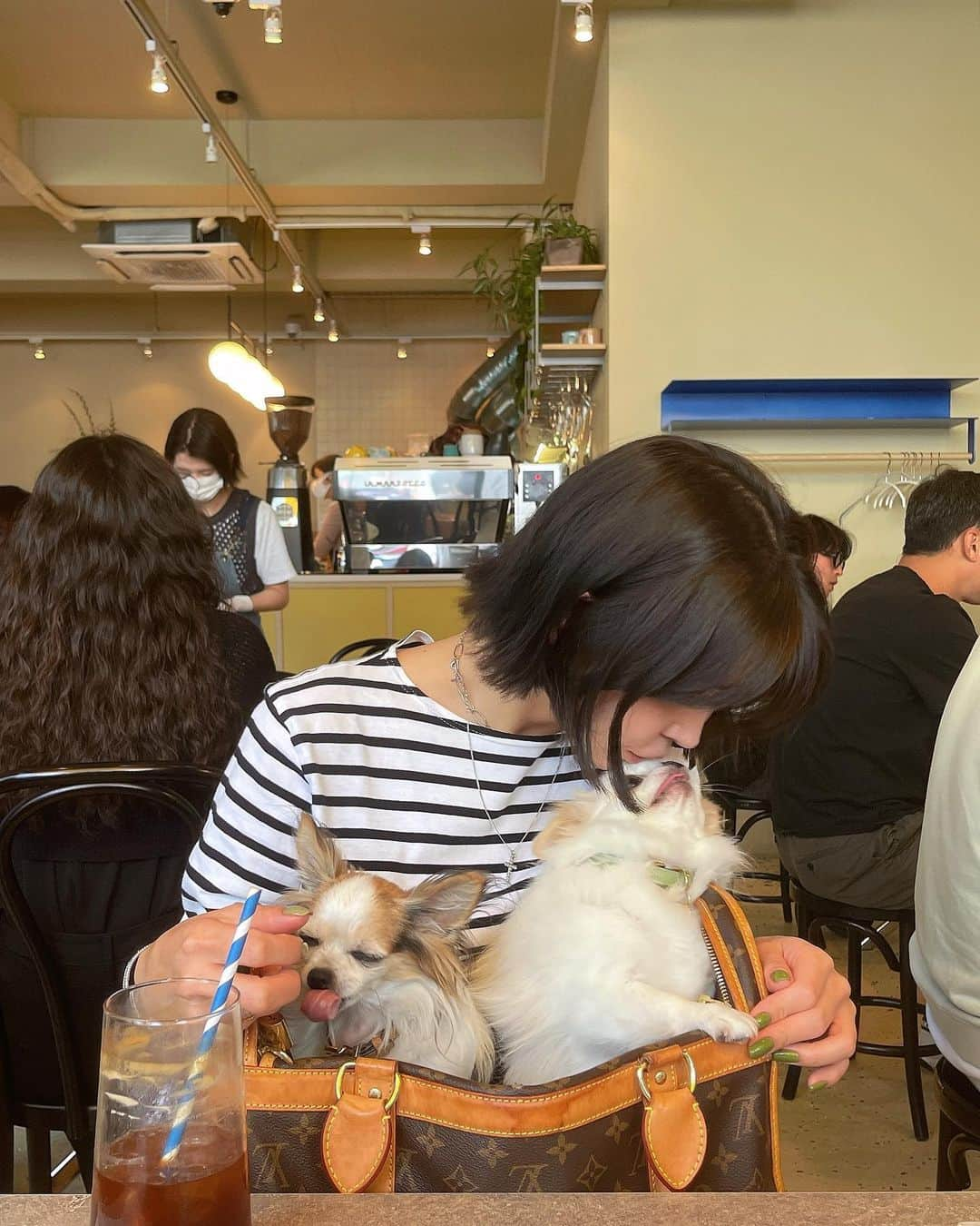 アン・シネさんのインスタグラム写真 - (アン・シネInstagram)「Flat white, smashed avo and my lovely ladies 🐶 Perfect way to start the day 😌」9月17日 12時46分 - shinaeahn