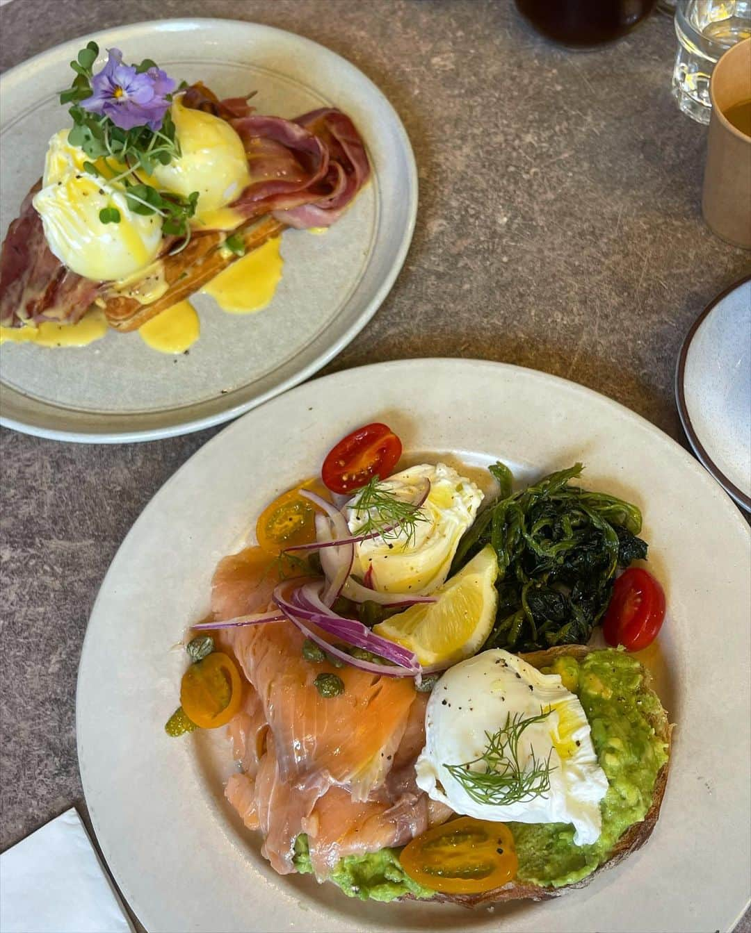 アン・シネさんのインスタグラム写真 - (アン・シネInstagram)「Flat white, smashed avo and my lovely ladies 🐶 Perfect way to start the day 😌」9月17日 12時46分 - shinaeahn