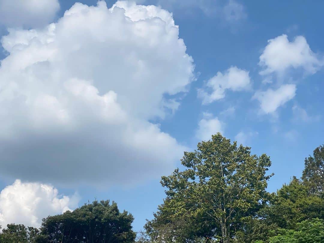 前田ゆかさんのインスタグラム写真 - (前田ゆかInstagram)「種まきに苗から育てる 冬野菜作り🥬  また観察日記のはじまり〜 #まえゆか畑日記  #無農薬栽培 #無農薬野菜  #冬野菜 #癒しの時間 #耳にかける首まで隠せるマスク #日常に感動のスイッチ」9月17日 23時05分 - maeyuka