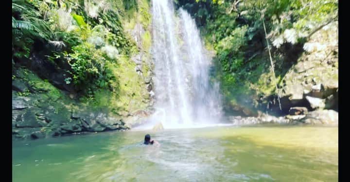 のインスタグラム：「先日、朝一で滝に行ってきました✨ 水も空気も気持ち良かった😌🌈」