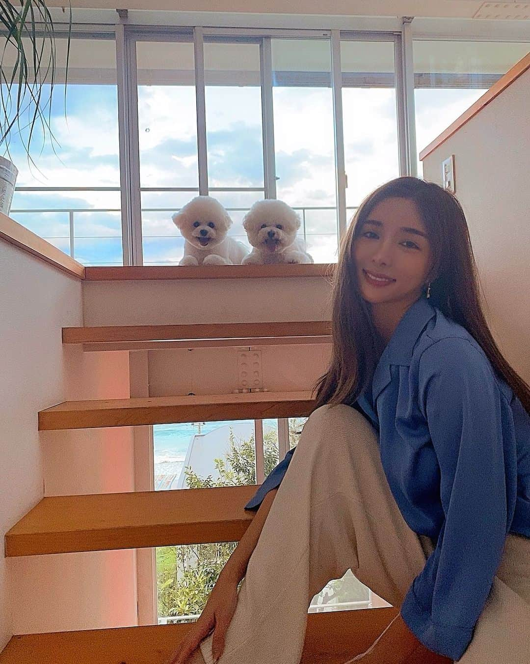 濱野りれさんのインスタグラム写真 - (濱野りれInstagram)「Family photo🤍 My pups are always smiling☻︎ They gave me happiness everyday. I also want to give them. Let me share my diary happiness🤍  Now,  I will go back to my home town. Good bye shizuoka😘  おはよう🐶 誰にも会わず車移動で家族時間を楽しんできたよ🤍 わんこたちいつも笑ってて(ように見えて)こっちまで幸せな気分になる☺️  載せきれてない写真はおんりーふぁんずにまた載せるね🤍いつもありがとう🤍  #familytrip #familytravel #pups #pupsofinstagram #pupstagram #myfamily #bichonfrise #shizuoka #家族旅行 #わんこのいる生活 #わんことお出かけ #ビションフリーゼ #ビション #静岡」9月18日 10時38分 - riregram