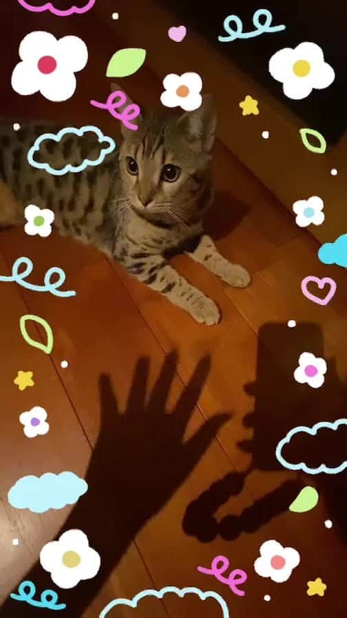 佐藤亜美菜のインスタグラム