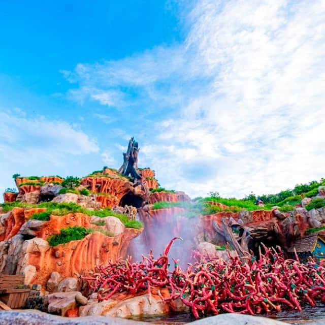 東京ディズニーリゾートさんのインスタグラム写真 - (東京ディズニーリゾートInstagram)「A thrilling trip awaits you! いばらの茂みへまっさかさま！ #splashmountain #crittercountry #tokyodisneyland #tokyodisneyresort #スプラッシュマウンテン #クリッターカントリー #東京ディズニーランド #東京ディズニーリゾート」8月26日 11時24分 - tokyodisneyresort_official