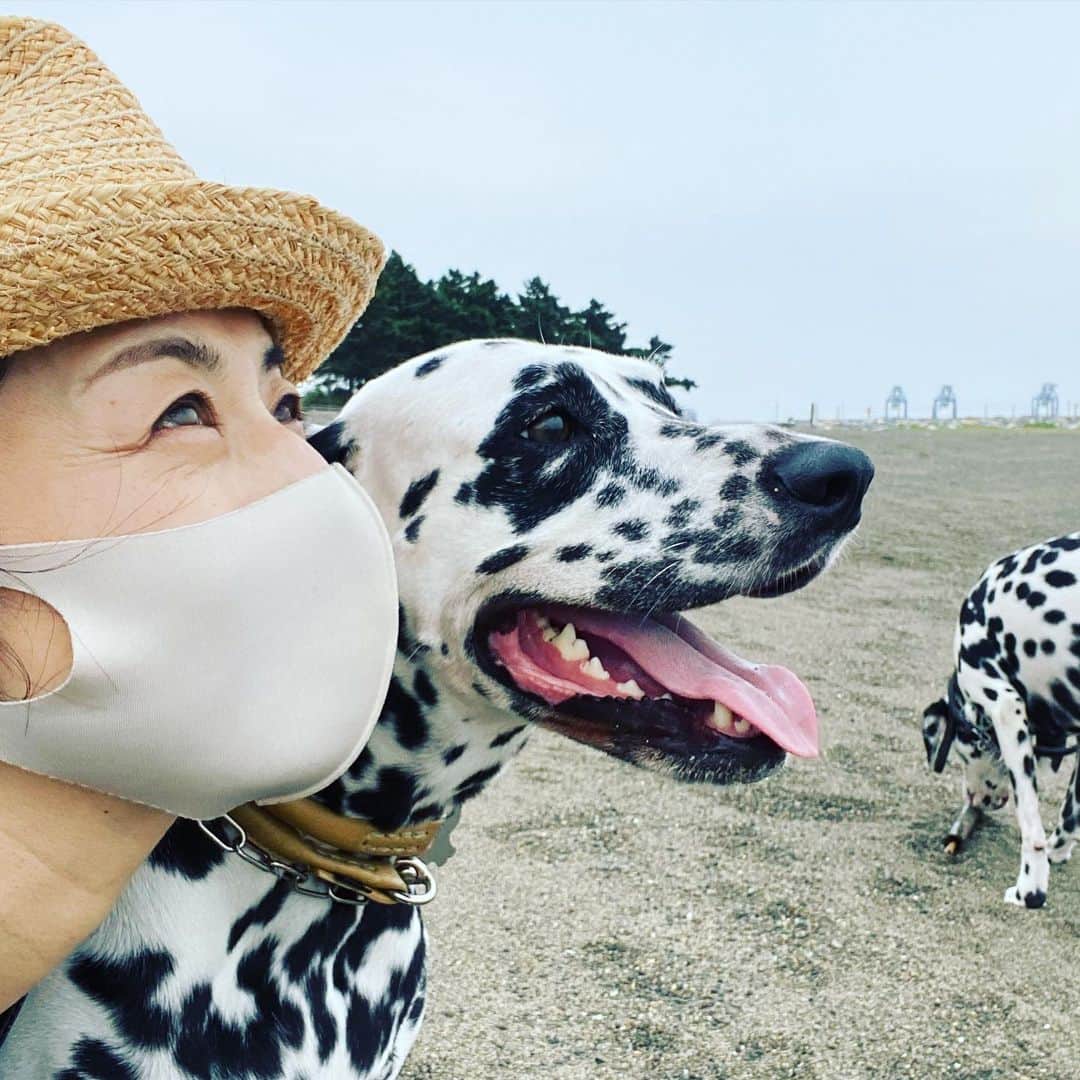 高岡早紀 さんのインスタグラム写真 - (高岡早紀 Instagram)「暑いね〜 蒸すね〜 先日の海での私たち。 海でもマスク… 仕方ないね。。 とにかく、とにかく上を向いて頑張ろ〜」8月26日 14時18分 - saki_takaoka