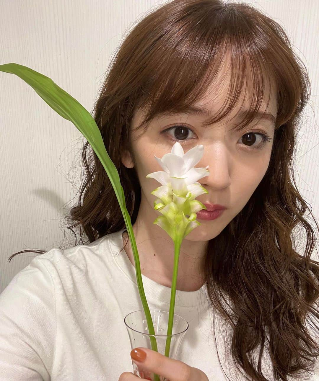 鈴木愛理さんのインスタグラム写真 - (鈴木愛理Instagram)「✿⢄ 少し前に"クルクマ"というお花に出逢いました。 ⁡ ショウガ科ウコン属という珍しさ！！ ⁡ あとから花言葉を調べたら"あなたの姿に酔いしれる"だったのですが、まさに一目惚れでした🌷 ⁡ お花屋さんに行くと、ついつい店員さんにいろんな話を聞いてしまう癖があります。 ⁡ 家の中でお花が枯れやすい場合は この時期氷を入れてあげると良いですよっていう 豆知識をゲットしてこの日は帰りました♪ ⁡ #花瓶持って撮るというセンスのなさ #そうそう #花瓶の種類たくさんもって無かったので #この前この子に合いそうな一輪挿しをお迎えにしたんです〜 #ようこそ我が家へ〜☺︎」8月26日 19時51分 - airisuzuki_official_uf