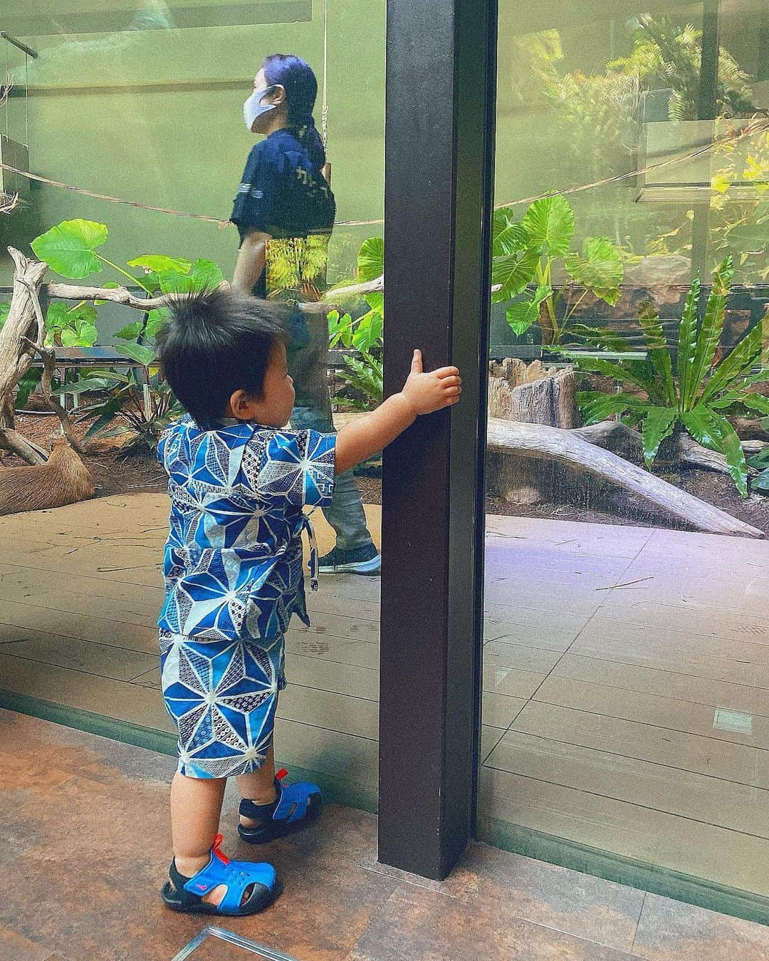 角田麻央さんのインスタグラム写真 - (角田麻央Instagram)「🏮🦋💚 8ヶ月ぶりにカワスイ行ってきたよ👨‍👩‍👦 前まではベビーカーに乗ってるだけだった息子はん、 もうほんとジッとしてなくて写真撮るのも一苦労😅💦 密なお祭りとかには行けないけど夏ラストに お祭り気分味わえて良かったなぁ🙌🏽🌺🌺🌺 @kawasui_aqua #カワスイ #水族館 #川崎 #家族 #1歳2ヶ月 #1歳男の子 #男の子ママ #可愛くない二の腕 #最後は前と同じくプリクラ #夏の思い出  #甚平姿 #萌え」8月26日 19時52分 - maotsunoda888