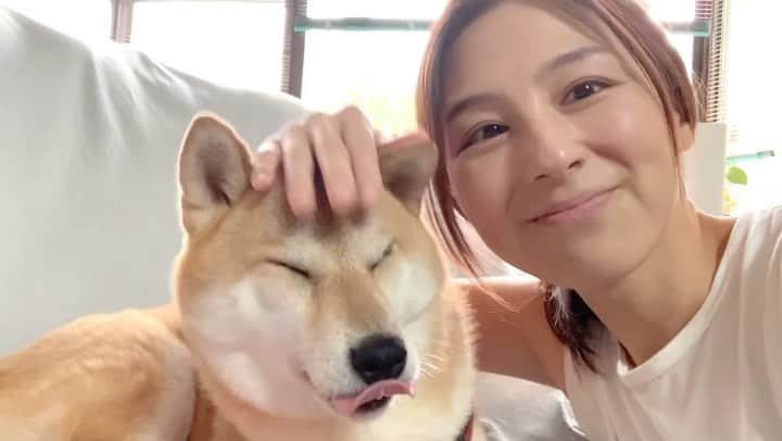大橋夏菜のインスタグラム：「🐕❤️  #柴犬 #柴犬リリ #なでなで #この後ペロペロ攻撃にあいました」