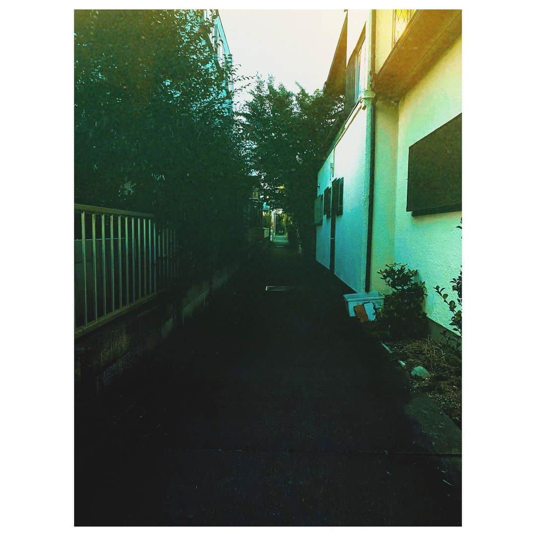 大塚愛さんのインスタグラム写真 - (大塚愛Instagram)「たまにある呼ばれる感じ。  お  い  で  AIO　#ホラー #大好き」8月27日 17時56分 - aiotsuka_official