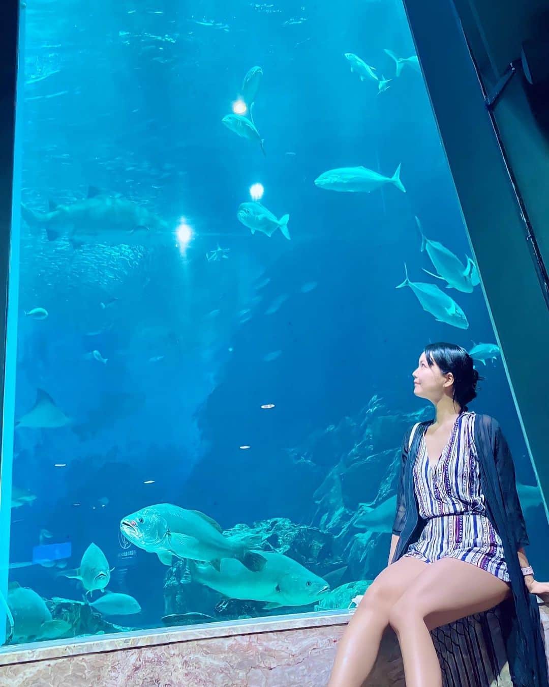 九条ねぎ あぴるさんのインスタグラム写真 - (九条ねぎ あぴるInstagram)「I love aquariums.🐠✨✨ Please let me know what aquarium you recommend.☺️  この間水族館に行きました💖　 国内の水族館に行くのは、沖縄以外だと20年ぶりで感動☺️💕  平日の朝のオープンすぐに行ったのでほぼ貸切でゆっくりできたよ✨ (撮影のときのみ数秒マスク外しました)  海が大好きなので、水族館も好きです。 海外旅行のときも必ず水族館に行きます！  タイ、ポルトガル、ドバイの水族館楽しかった✨  いつか行ってみたい場所は アメリカ　ジョージア水族館 中国　広東省珠海市　長隆海洋王国 シンガポール　シーアクアリウム  (੭ु ›ω‹ )੭ु⁾⁾♡  みんなは好きな水族館ありますか？おすすめも教えてね✨」8月27日 22時06分 - negi_kujyo