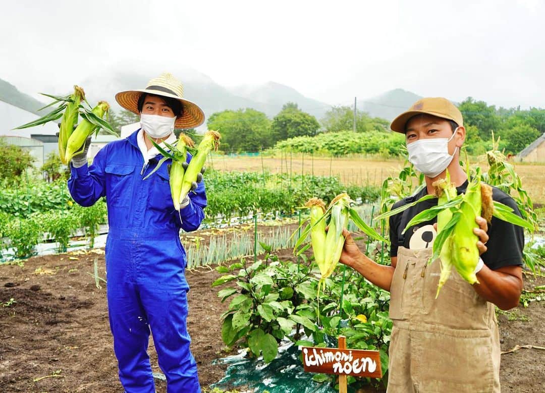 福田太郎のインスタグラム：「イチモニ！農園🌽 収穫したとうきびの皮をむくと 黄金色の実が、ぎっしり！！！ ⠀ 一緒に楽しんで、応援して下さった 皆さんのおかげです。ありがとうきび😋 ⠀ イチモニ！の縁が これからも広がりますように🌱 ⠀ #イチモニ農園 #ichimoninoen #北海道 #農業 #パラレルノーカー #とうもろこし #小松菜 #茄子 ⠀ お世話になった農家の今村さん。 野菜と家族への愛に溢れる素敵な方。 いつも、ありがとうございます🥬」