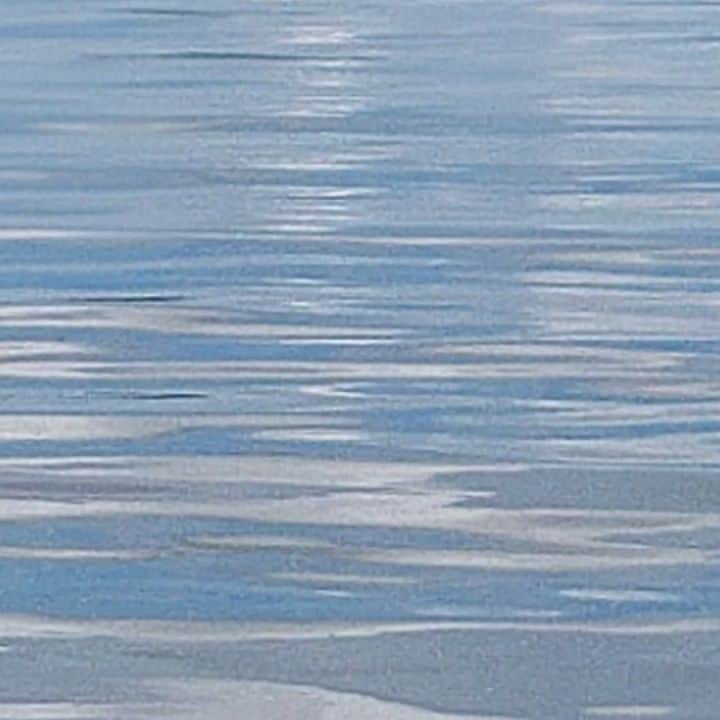 琵琶湖グランドホテル / 京近江のインスタグラム：「夏の日の琵琶湖の湖面, #琵琶湖 #湖面 #チル #ゆらぎ #滋賀 #京都 #旅行 #滋賀旅館 #琵琶湖グランドホテル #京近江  #lakebiwa #lakesurface #chill #beautifulview #shiga #kyoto #gobiwako #hellootsu #travel #biwakograndhotel #kyooumi @biwakograndhotel_kyooumi」