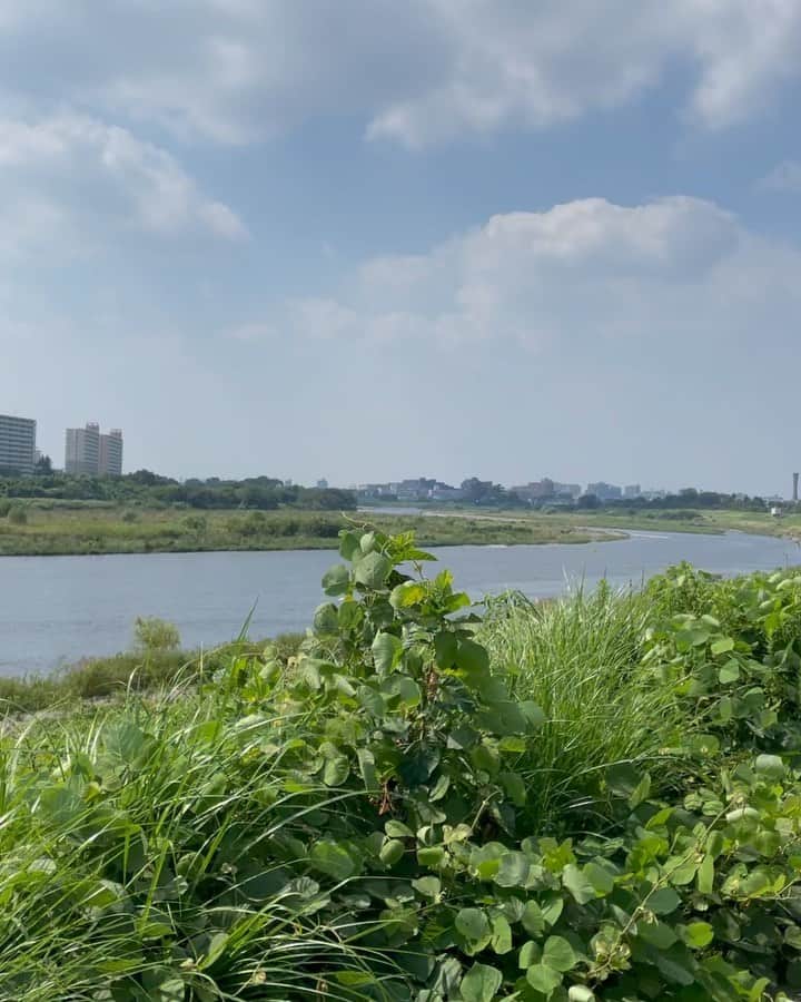 金子貴俊のインスタグラム：「久々に自転車に乗ってサイクリング 多摩川の土手を走ってみた。 少しは自然を感じれて良いリフレッシュ」