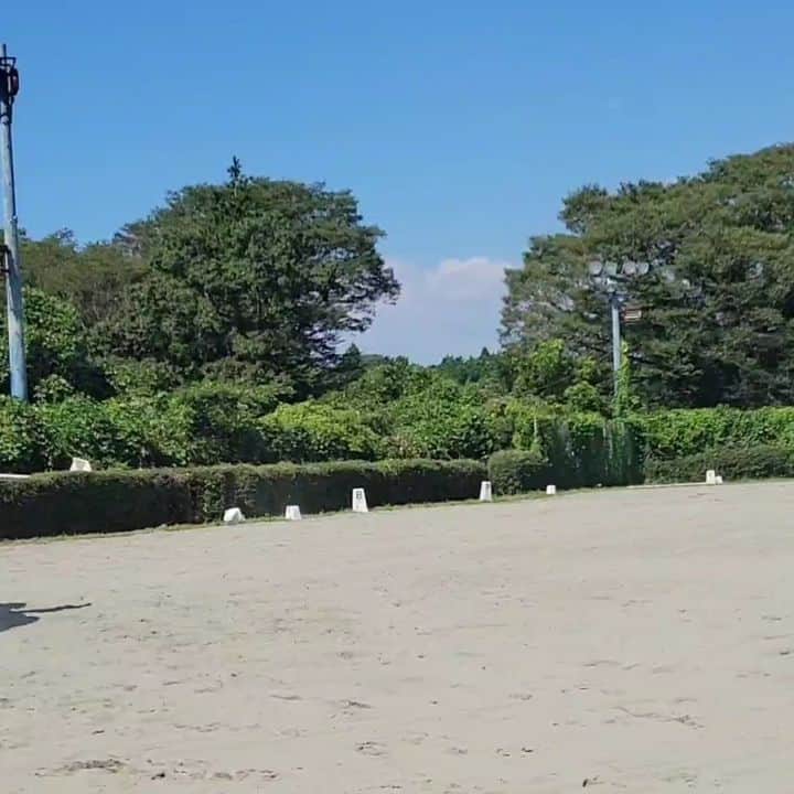 林伸伍のインスタグラム：「I have just started training our new 5yo retired racehorse Mayano hanpanee🐴 I think he has a great future as a dressage horse👍️  #馬術 #馬場馬術 #馬 #乗馬 #サラブレッド #引退競走馬 #ゼンノロブロイ産駒 #horse #dressage #equestrian  #horseriding #horsesofinstagram  #athlete #アスリート #thoroughbred #retiredracehorse #racehorsetoridinghorse #マヤノハンパネー  #retrainingofracehorses #retraining #リトレーニング」