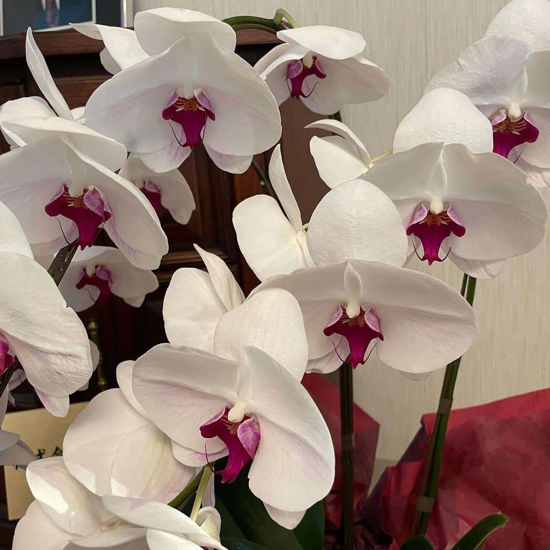 石倉洋子のインスタグラム：「Received beautiful gorgeous orchid. Decided to share w my folks. It has been a year since my Dad left me to join his love…」