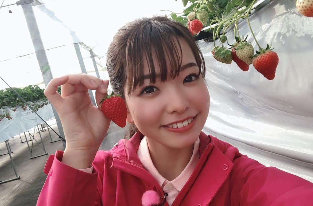 濱村春香のインスタグラム：「. 今回の旬ナビは 放送700回記念のスペシャル回🎉 いつも観てくださっている皆さまのために 豪華なプレゼントをたくさん集めに行きました‼︎ ⁡ ⁡ 写真は去年の4月からのオフショットを集めてみました📷 私はまだ2年目で、 番組の歴史のほんの一部にしか過ぎませんが、 それでも振り返ると色々あったなぁと 懐かしい気持ちになります🤗 ⁡ 明日8/29(日)朝9時〜 再放送8/30(月)朝10時〜 ぜひご覧ください☺︎ ⁡ #かながわ旬菜ナビ #旬ナビ #JA #JA神奈川グループ #テレビ神奈川 #tvk #montbell #衣装提供」