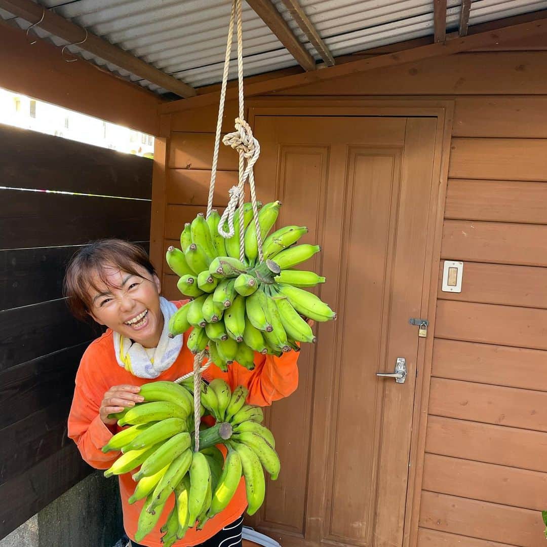 田中律子さんのインスタグラム写真 - (田中律子Instagram)「バナナ収穫祭🍌2021  YouTubeにアップしました⤴️ バナナ🍌の成長を記録してるので、こうやってバナナ🍌が実ってくのを見てみてね👀  YouTube 田中律子〜RITSUKO TANAKA〜 https://youtu.be/hK5Yqn6Sy9k  私のトップページハイライトのYouTubeをタップしたらとべます☝️☝️☝️  #okinawa  #okinawalife  #beachlife  #lifestyle  #garden  #banana  #surfandfarm  #自家製バナナ  #めちゃうま」8月29日 10時38分 - ri2kotanaka