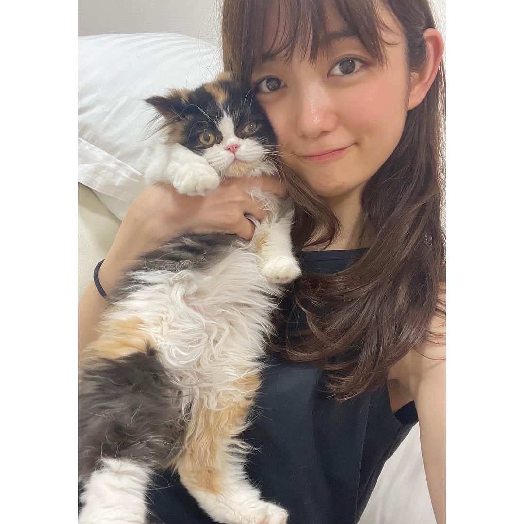 森田涼花のインスタグラム：「むぎゅ♡ 家族が増えました。@nyancat_16」