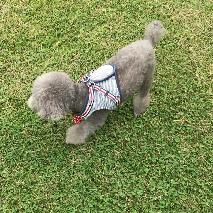 岡まゆみのインスタグラム