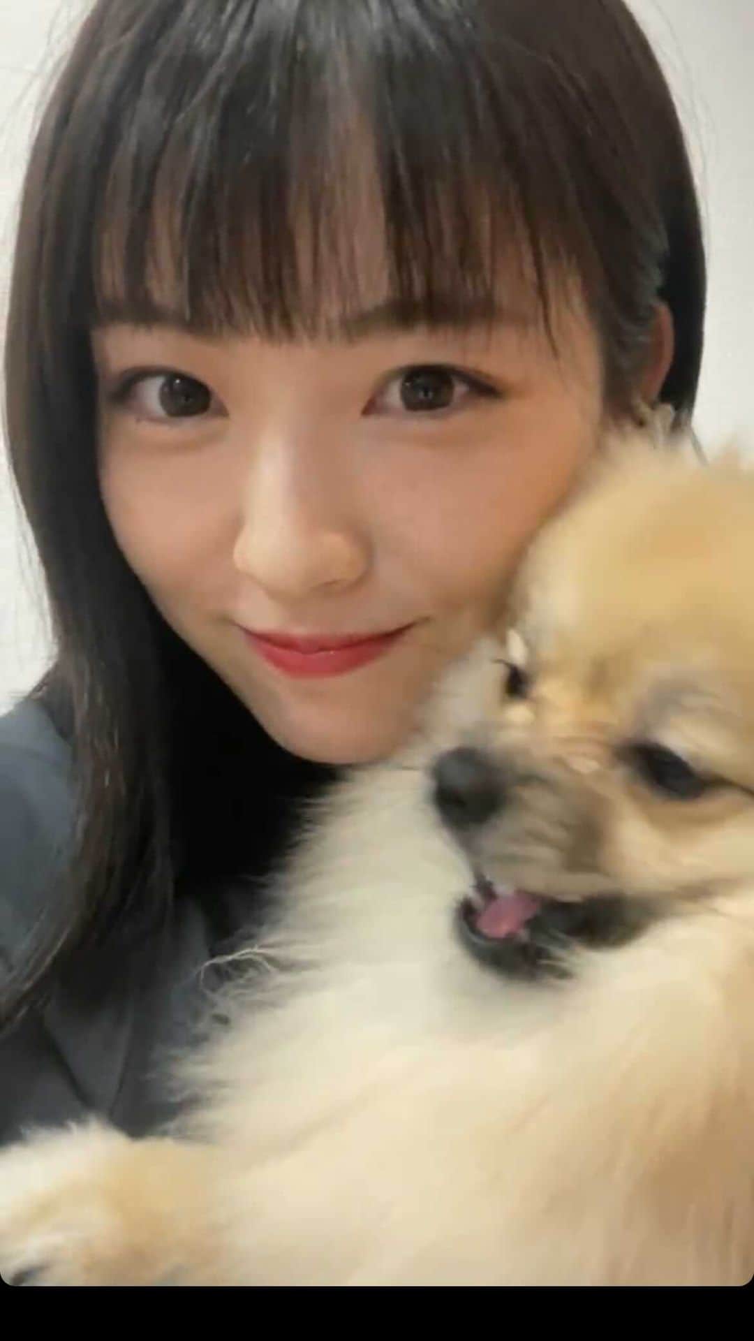 女優と俳優のインスタグラム：「誕生日おめでとうございます🎊 写真集発売決定おめでとうございます🎉 ・  #浜辺美波  #hamabeminami  #0828」